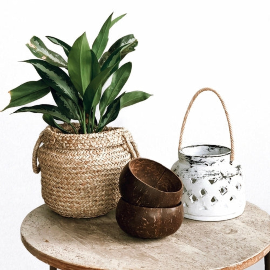 Bol noix de coco naturel