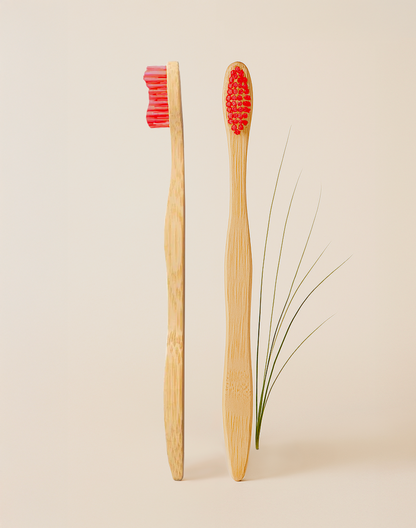 Lot de 4 brosses à dents bambou biodégradables poils doux